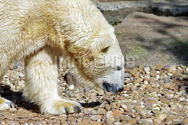 이미지 미리보기