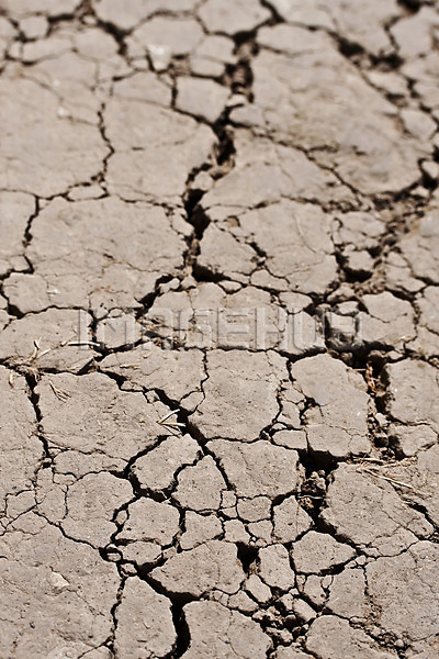 이미지 미리보기