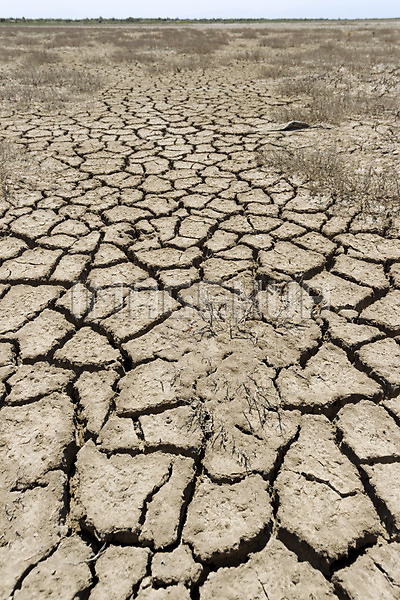 이미지 미리보기