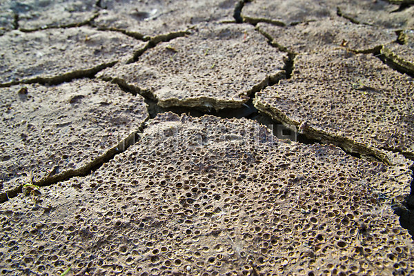 이미지 미리보기