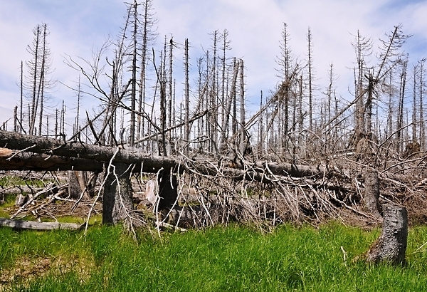 이미지 미리보기