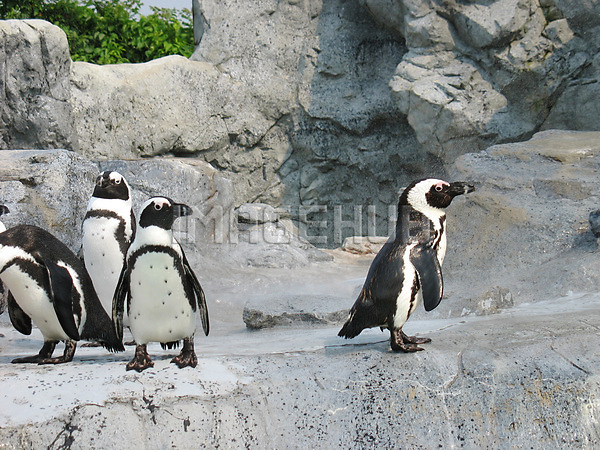 이미지 미리보기