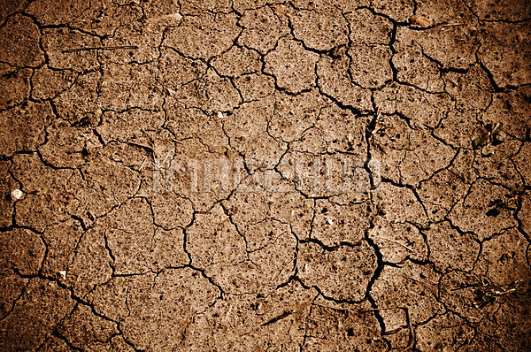 이미지 미리보기