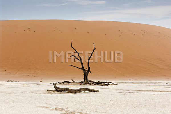 이미지 미리보기