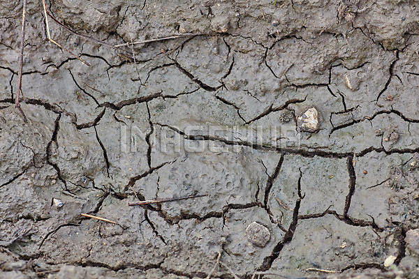 이미지 미리보기