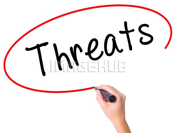 이미지 미리보기