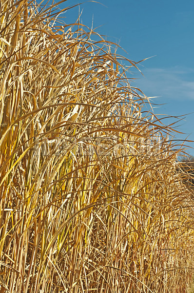 이미지 미리보기