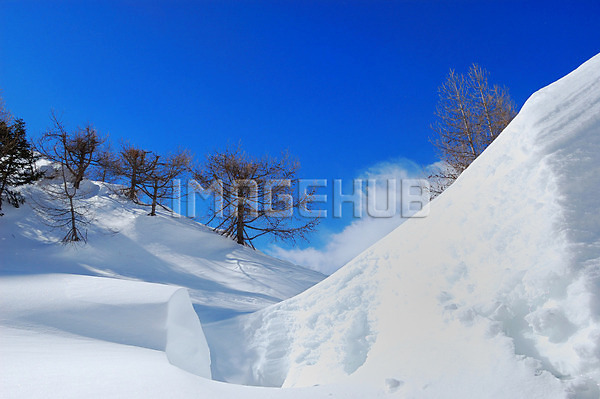 이미지 미리보기