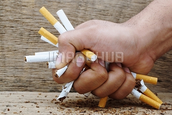 이미지 미리보기