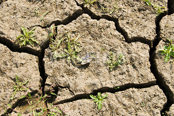 이미지 미리보기