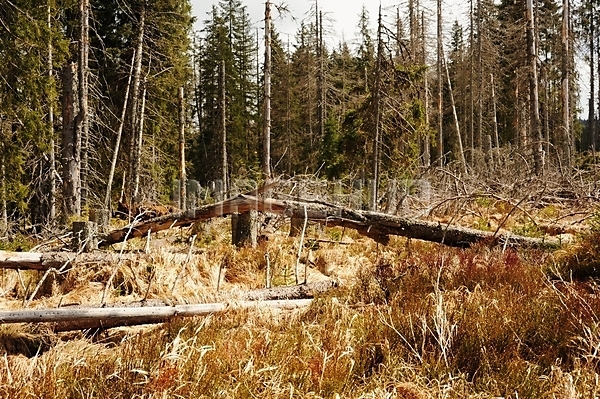 이미지 미리보기