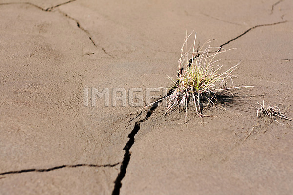 이미지 미리보기