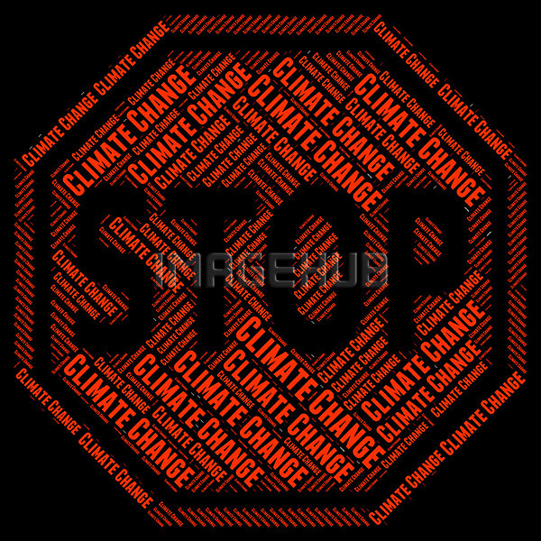 이미지 미리보기