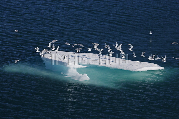 이미지 미리보기