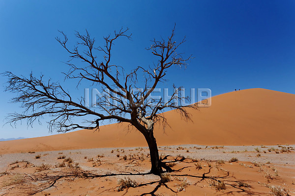 이미지 미리보기