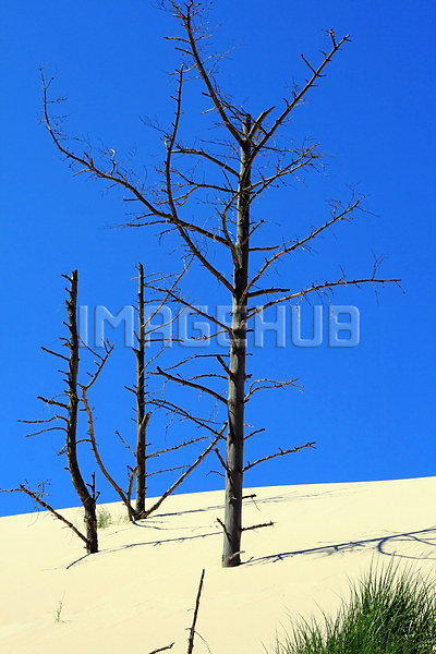 이미지 미리보기