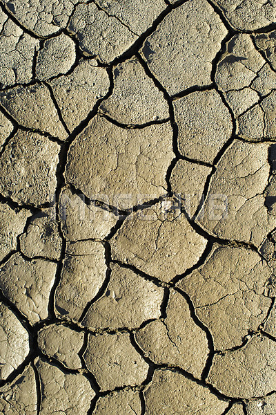 이미지 미리보기