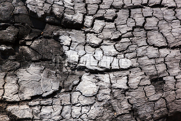 이미지 미리보기