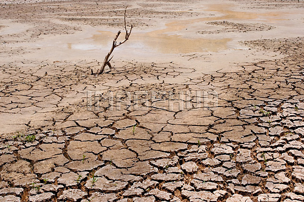 이미지 미리보기
