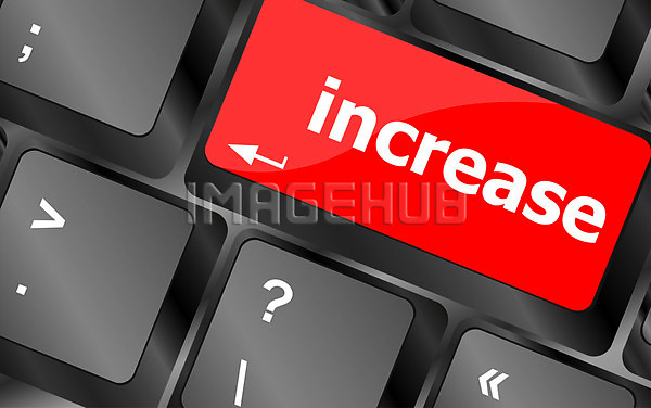 이미지 미리보기