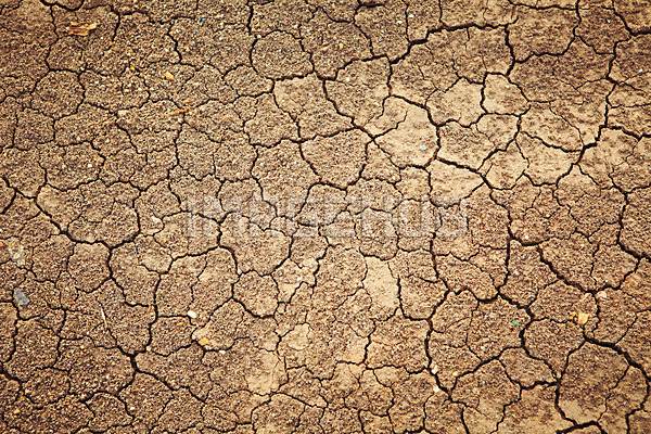 이미지 미리보기