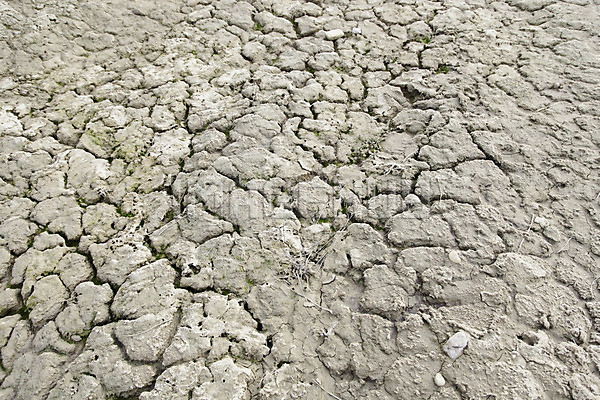 이미지 미리보기