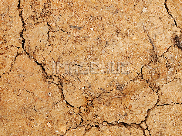 이미지 미리보기