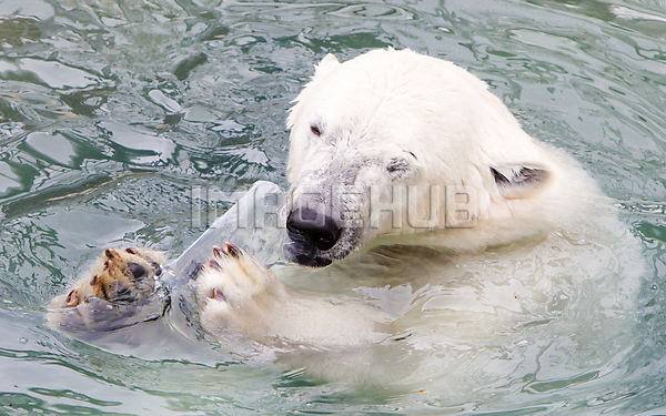 이미지 미리보기