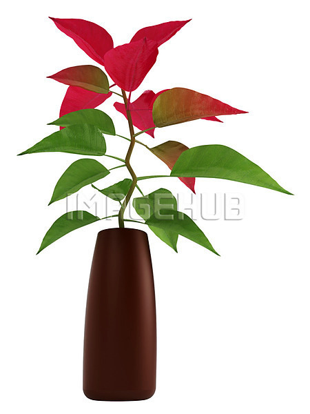 이미지 미리보기
