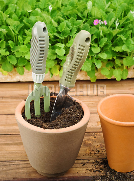 이미지 미리보기