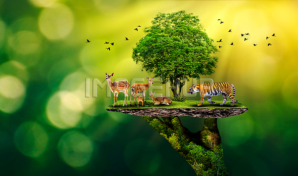 이미지 미리보기