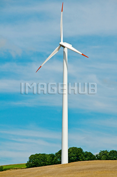 이미지 미리보기