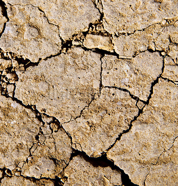 이미지 미리보기