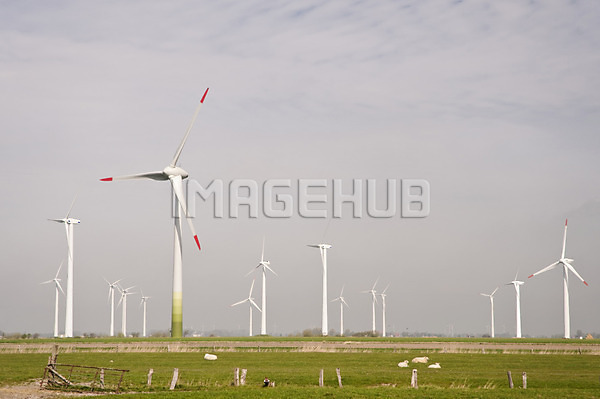 이미지 미리보기