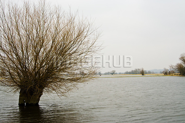 이미지 미리보기