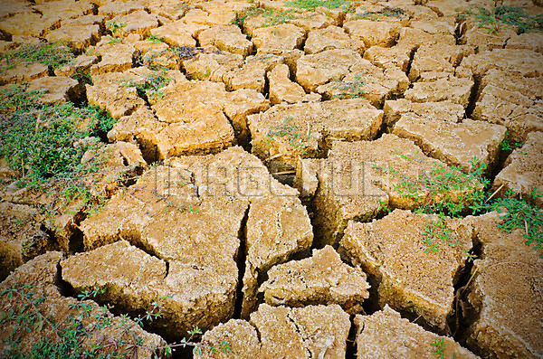 이미지 미리보기
