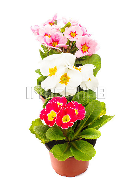 이미지 미리보기