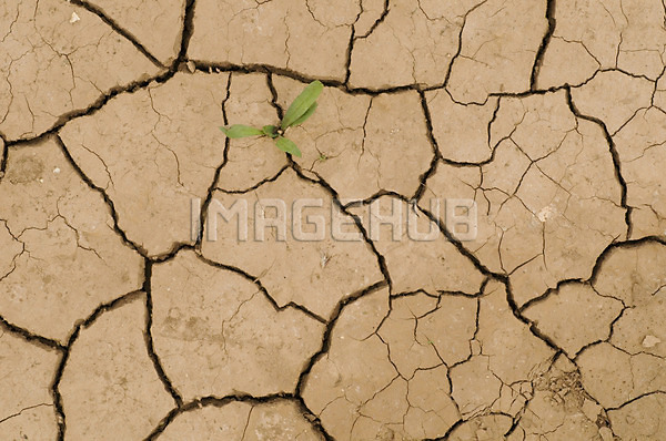 이미지 미리보기