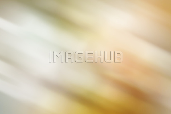 이미지 미리보기