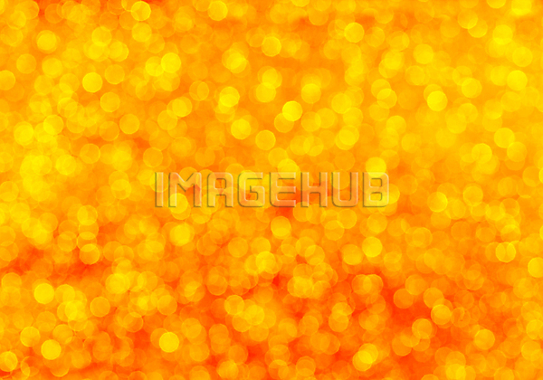 이미지 미리보기