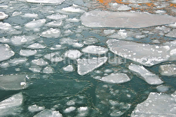 이미지 미리보기