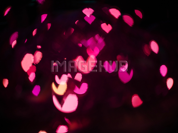 이미지 미리보기