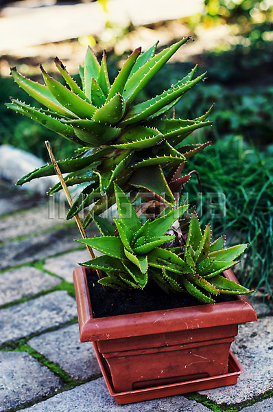 이미지 미리보기