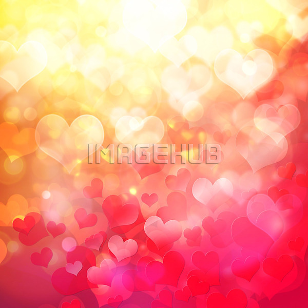 이미지 미리보기