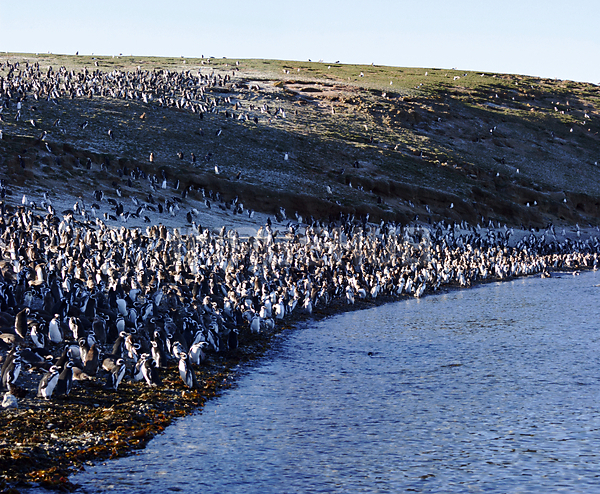 이미지 미리보기
