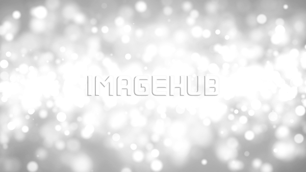 이미지 미리보기