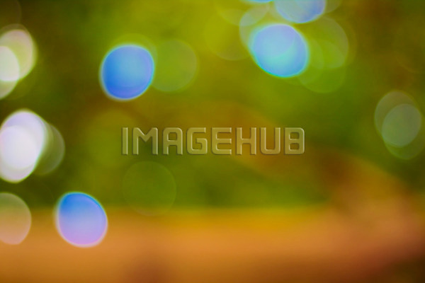 이미지 미리보기