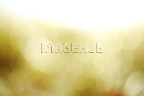 이미지 미리보기