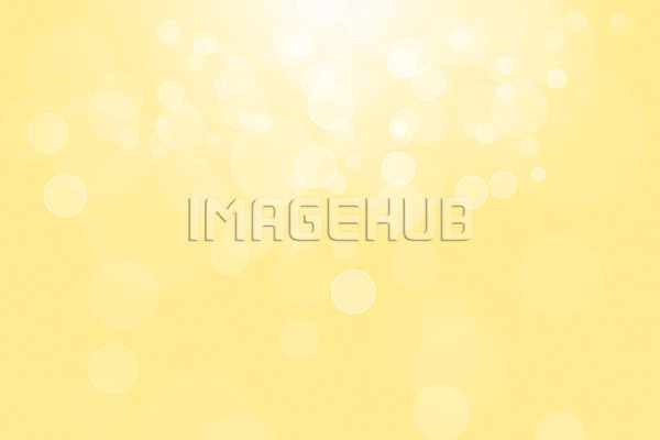 이미지 미리보기