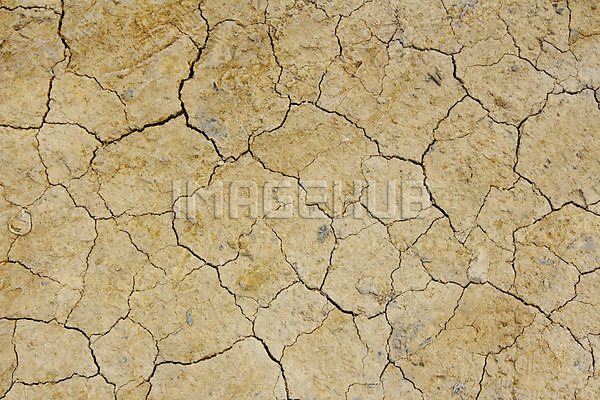 이미지 미리보기